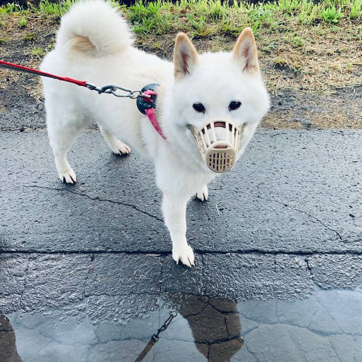 F5adfa13 07a7 49e7 a7d0 57729d81301d 1590356448504