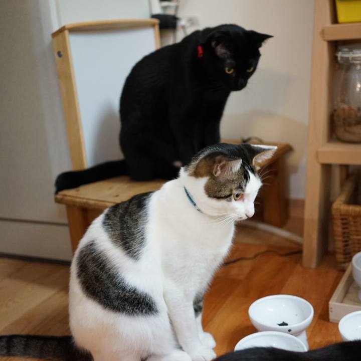 F5adfcba a3a1 4762 8e7e 0170858e2e88 1511015108286