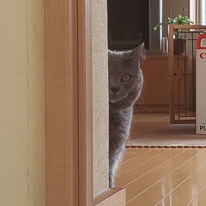 F5ae2658 e2b3 4e81 af09 6849a7b05174 1568180220885