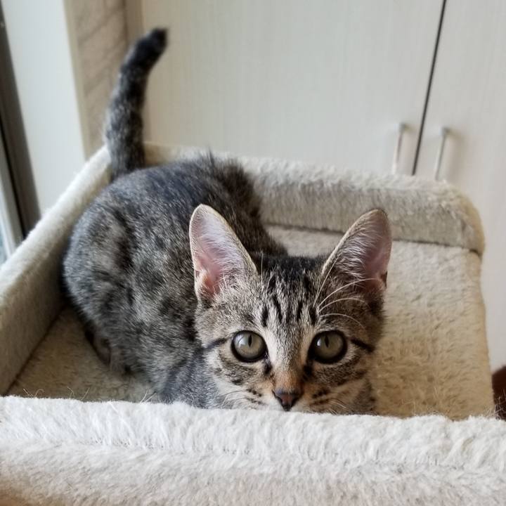 F5ae507f d317 42fb b13b 5843a720462d 1538970571564