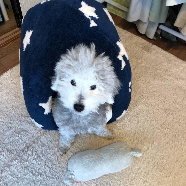 F5ae53f6 89f5 4592 821c d5a015bce730 1621512856584