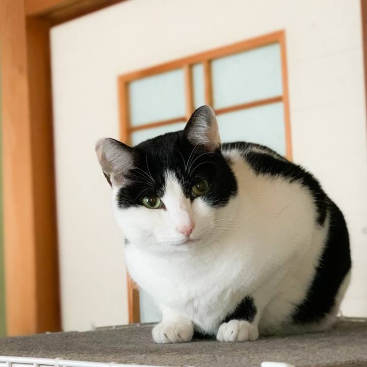 F5aeab0c c8c9 49fb 865f 23bd2a46856e 1580955106832