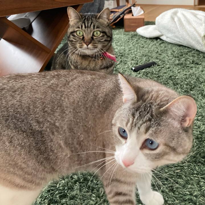 F5aed1fc 35a4 4635 b37b 9a052fc2b8ee 1619833694779