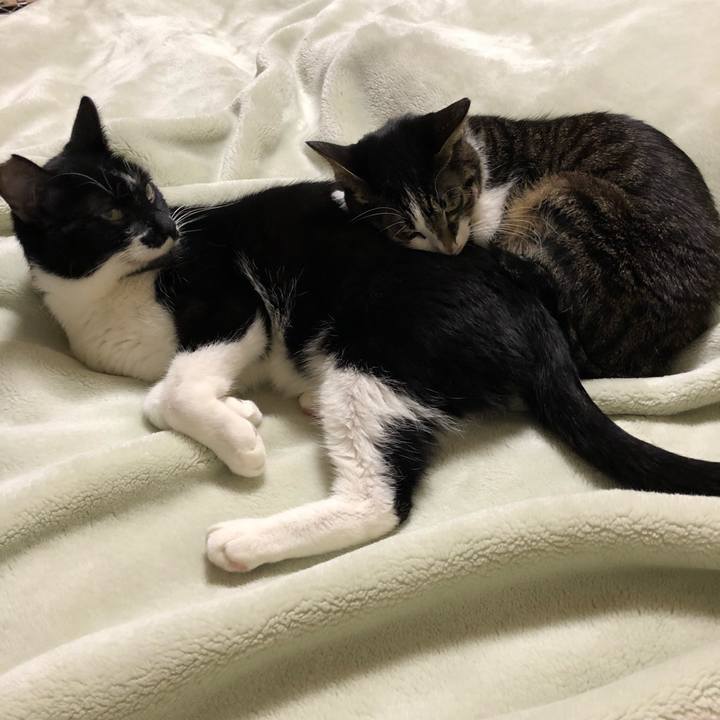 F5aed21c 8b2a 45e3 aa33 889d791e0582 1540431306351