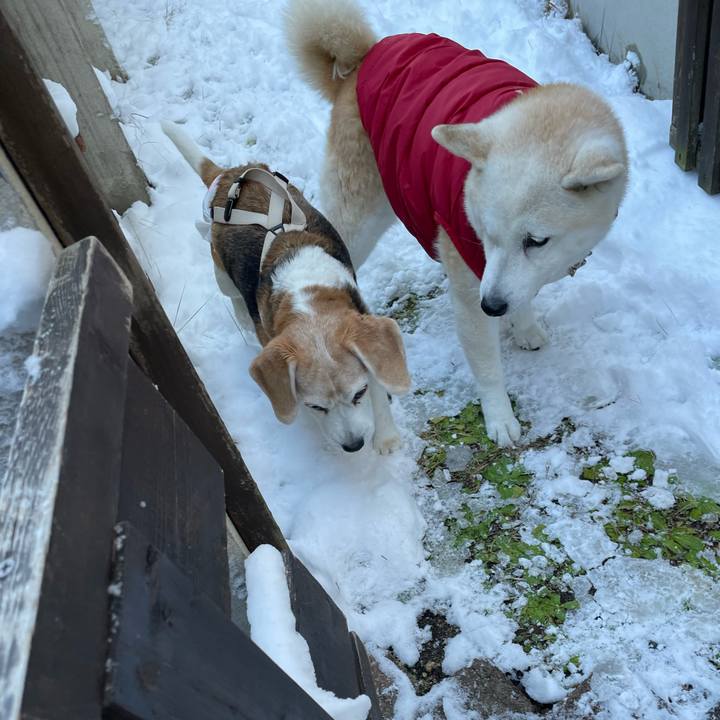 F5aed5c2 5fb1 4e6c 9a01 a3d35130dd1b 1674643598833