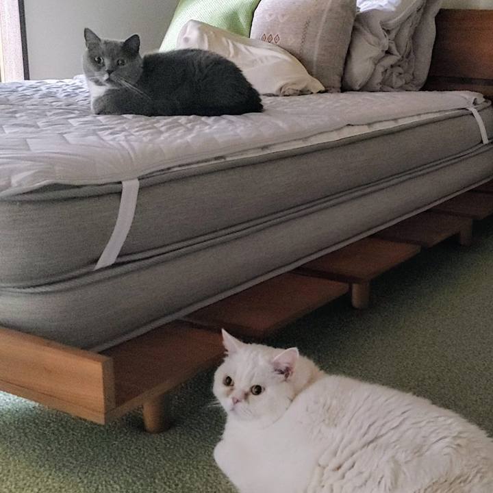 F5af335f c7d0 48cd aa67 dcc85754100d 1751977678485