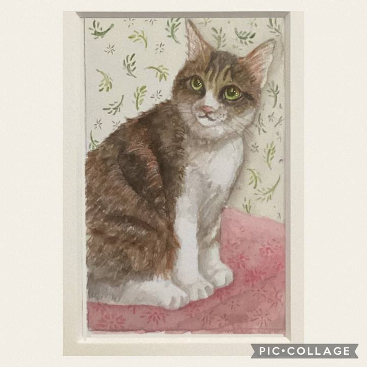 F5af4b20 9bcd 4349 acba d40bc2a37947 1689933597374