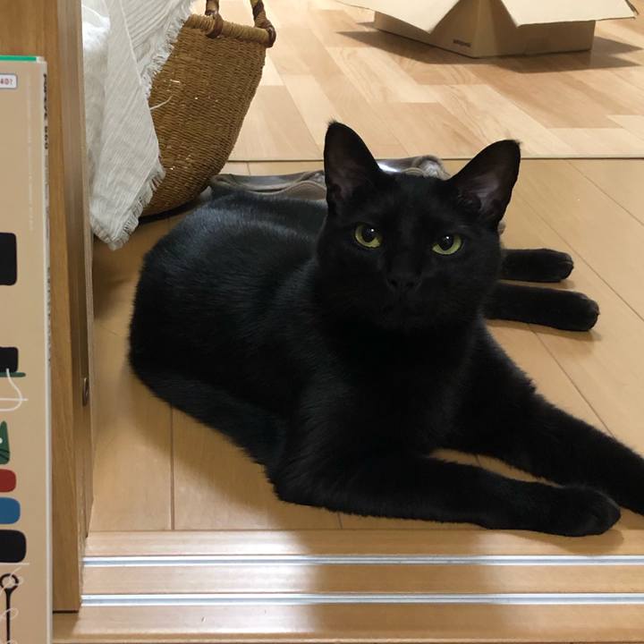 F5af5105 8911 42b6 b558 96a23d7a0aef 1589097544403