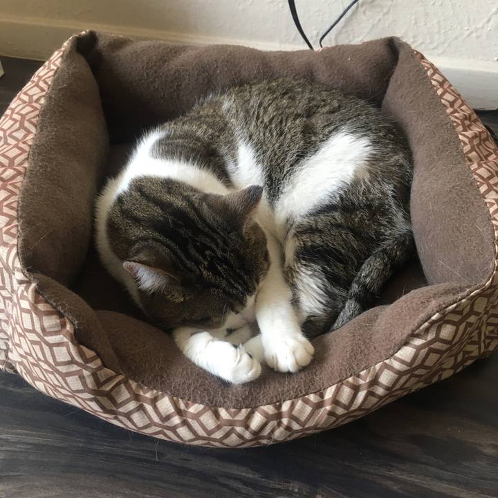 F5af65bf efe1 4f4a a4eb 221e7a948d9f 1633877406022