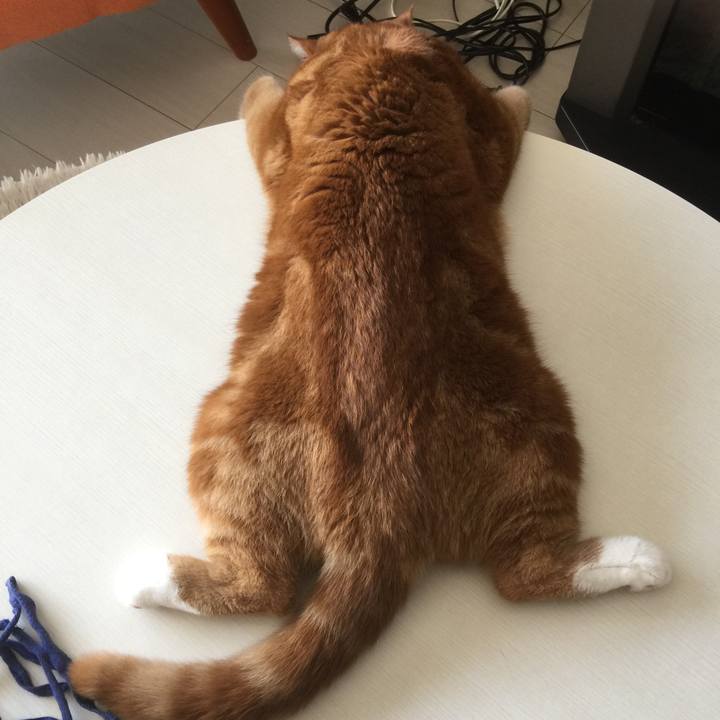 F5af9cd2 d8c9 4819 ac45 0be5995e0d35 1597023527930