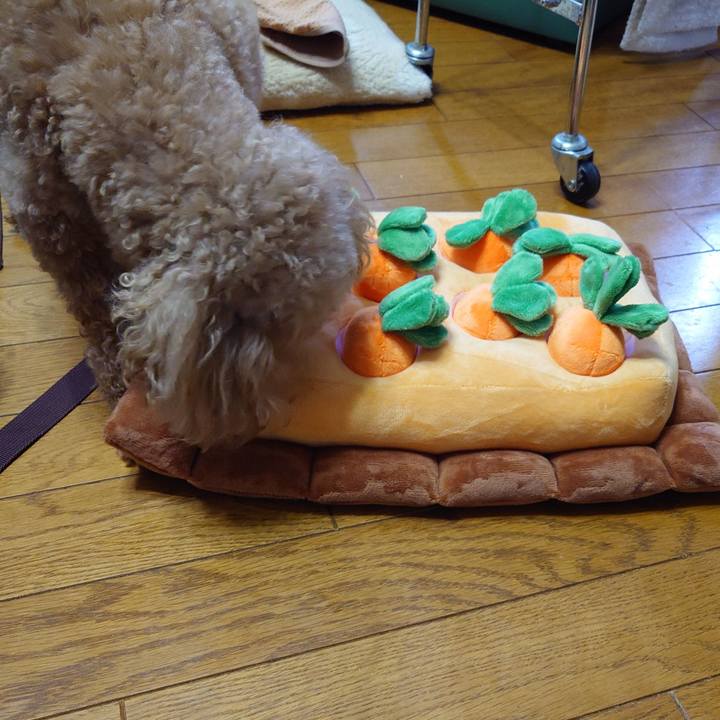 F5af9cf8 a1ca 4079 b3df 1b54b0f6ec53 1713579062364