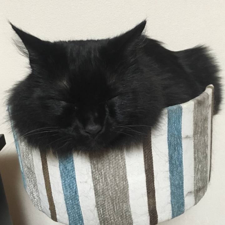 F5afacab 9c04 4dc5 9846 a2b163f1944f 1528463724067