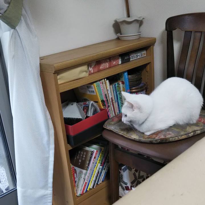 F5afd921 6190 42fa af1e ce2fa53ff5dd 1643330111138