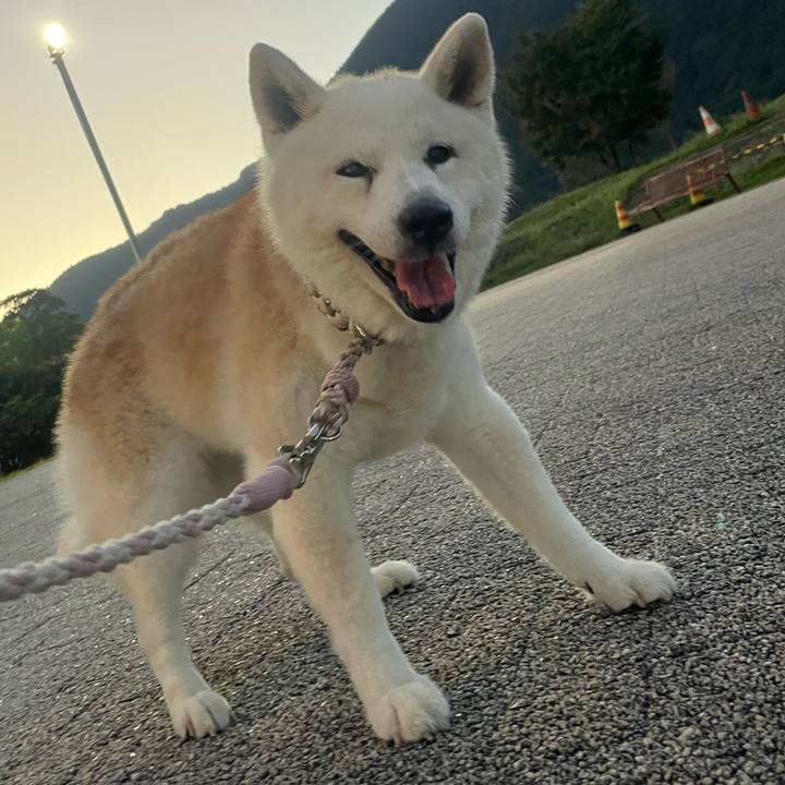 F5aff283 0059 4d9c ad9e 8e2f52c848b0 1757216178711