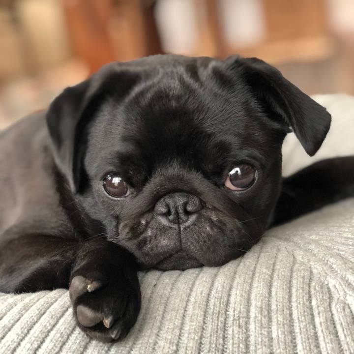 F5b001e6 155b 42fd aa3b 9d0c813f91c6 1620388062054