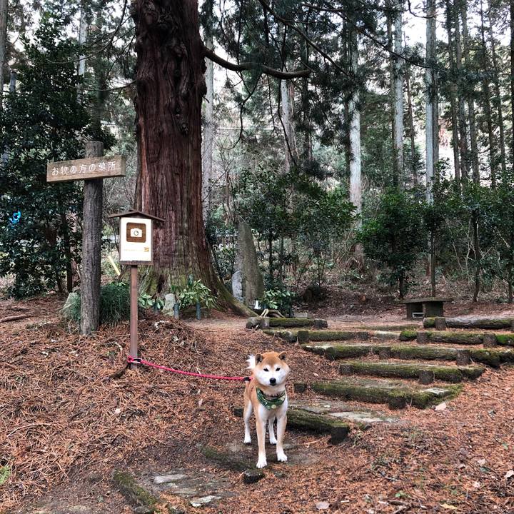 F5b02a1b 7b33 465c aaf6 885cad1fb480 1550651689801