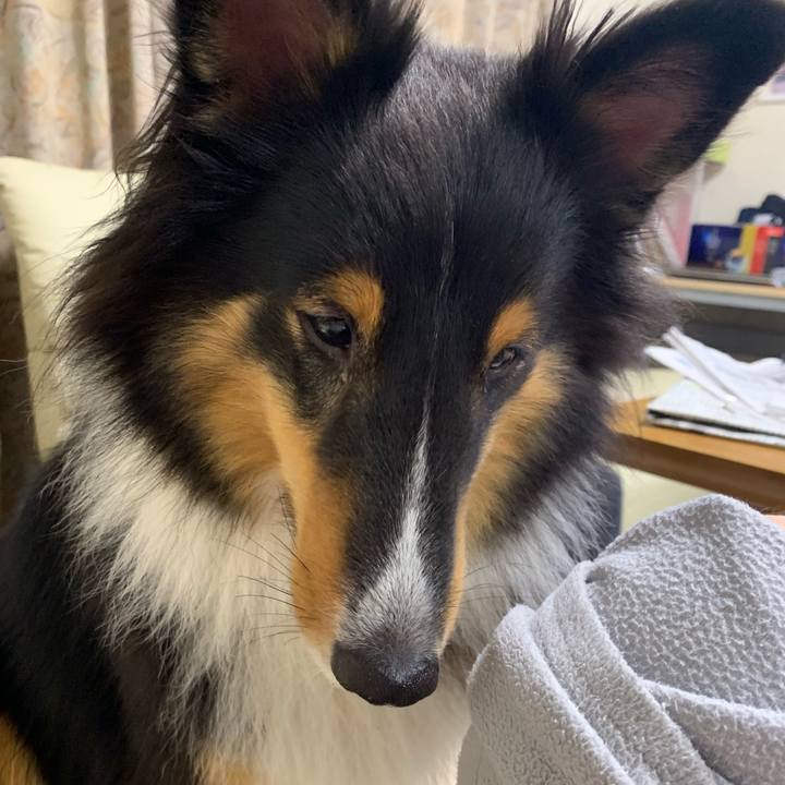 F5b08205 8287 475b bdd2 5e6841c3344b 1570571920765