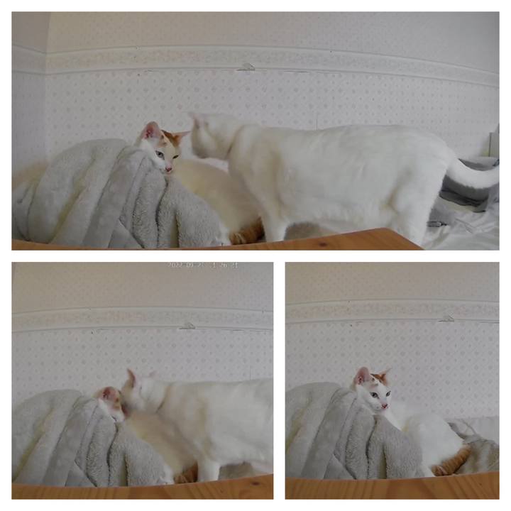 F5b0e9c6 b71d 4b21 a212 dad0be219df2 1664256918910