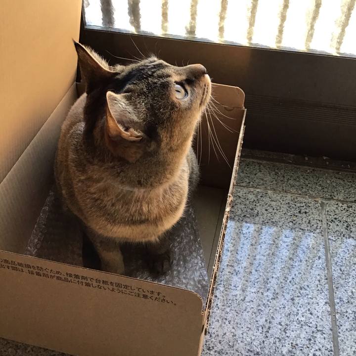 F5b1be12 d291 4ba2 8ede 573203b19aac 1580865048004