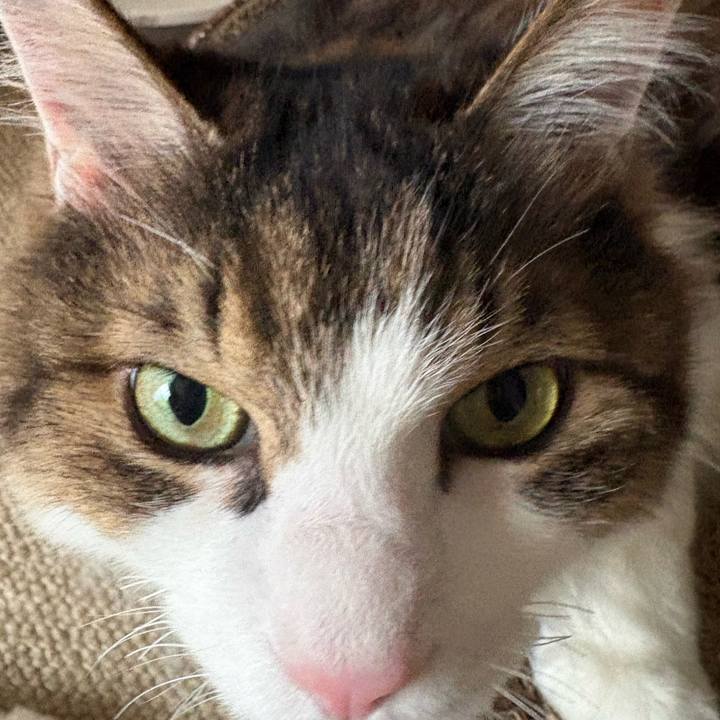 F5b1ddd2 51e9 42ac a032 677e5ef19504 1766704528484