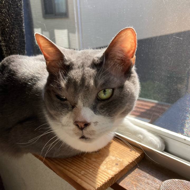 F5b1f699 dee5 4d05 978f a83587748ec0 1712795611281