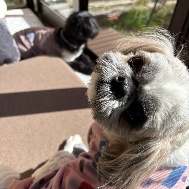 F5b225b6 1f1a 4eb3 8600 6ed89f4da468 1762180544022