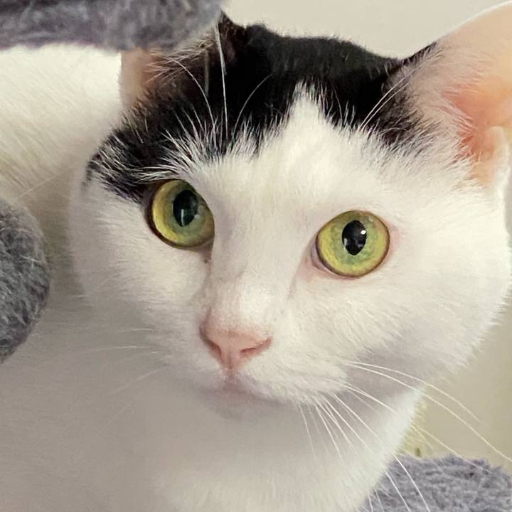 F5b226ad f5cc 469e 8de3 53f37b33c708 1759003793332