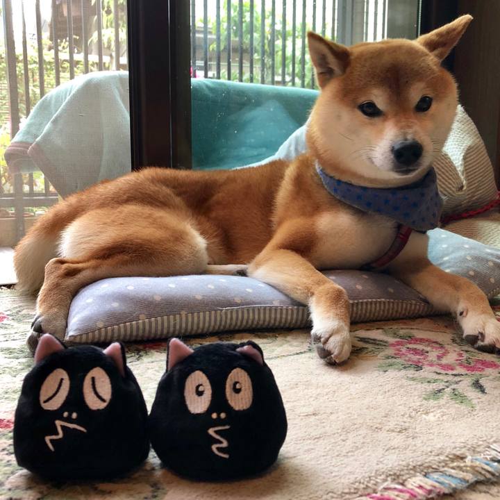 F5b2694b de66 4c09 a8ad 61ea3770db31 1528184670240