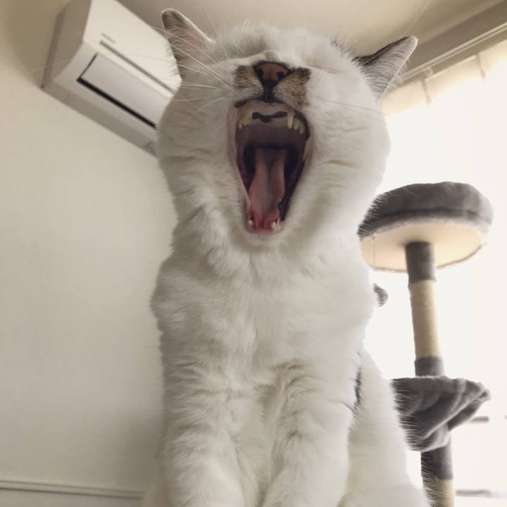 F5b29da9 b375 45b4 b5c0 3ca9b7b06432 1559803987732