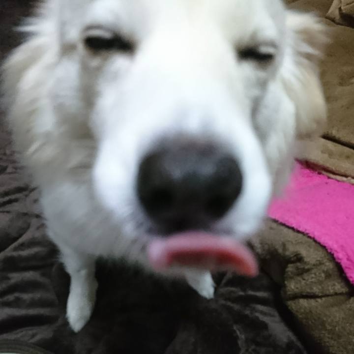 F5b2aaa7 4da8 4a5a b247 07fb0ae4a71a 1519765214982