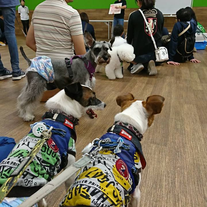 F5b2c35b 5ce9 43b5 980f 2dd3fff8bbb7 1539002304658