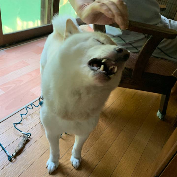 F5b2c5c9 dd6a 4c7f 977c 0cd7cc98cbac 1597179937982