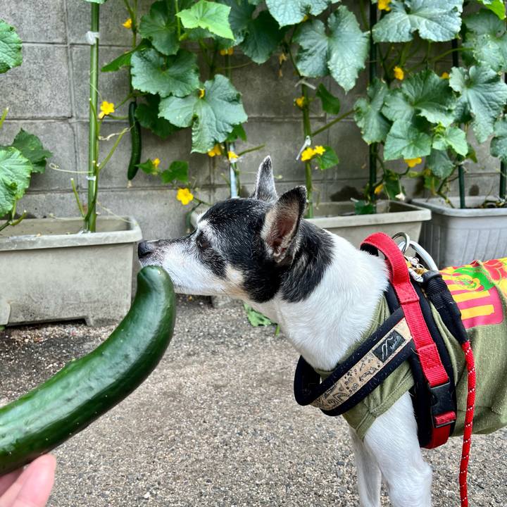 F5b2e0f7 75ab 4c21 90f1 deac5be8fe53 1653212019764