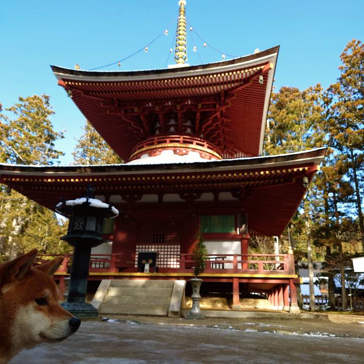 F5b2f95e 6f73 4ffe 9032 69256e06016f 1767093088816