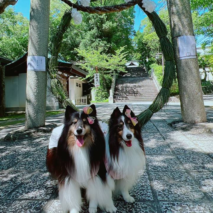 F5b32c88 2e12 4fa0 a830 53b40420b1dc 1689704249948