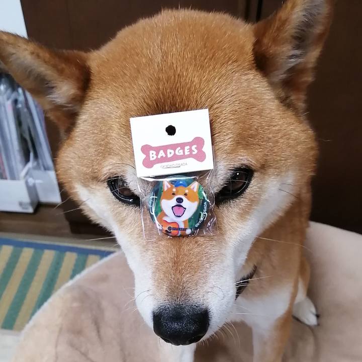 F5b34044 1521 448b 9d99 a918bcd27e26 1618383838909