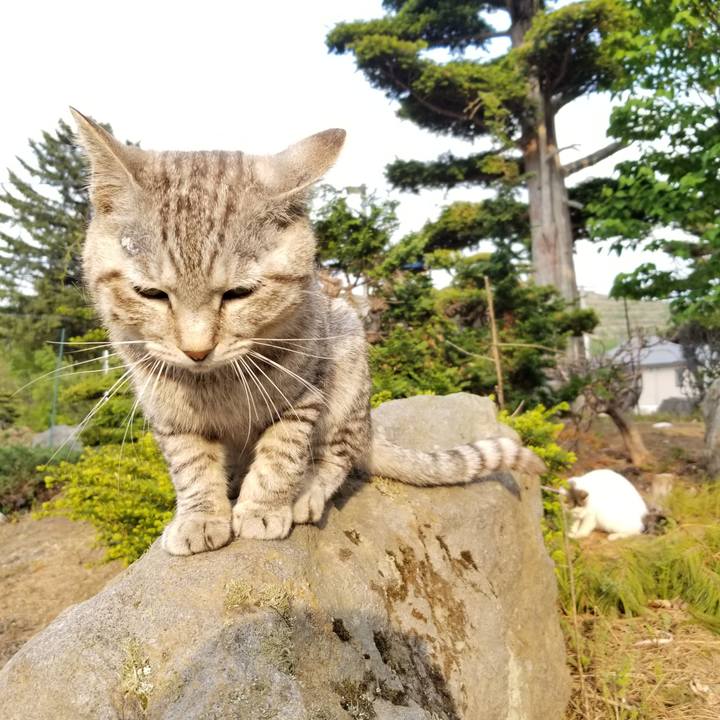 F5b3449d 9457 430d ba8b 5eacc9ac0749 1653051111537