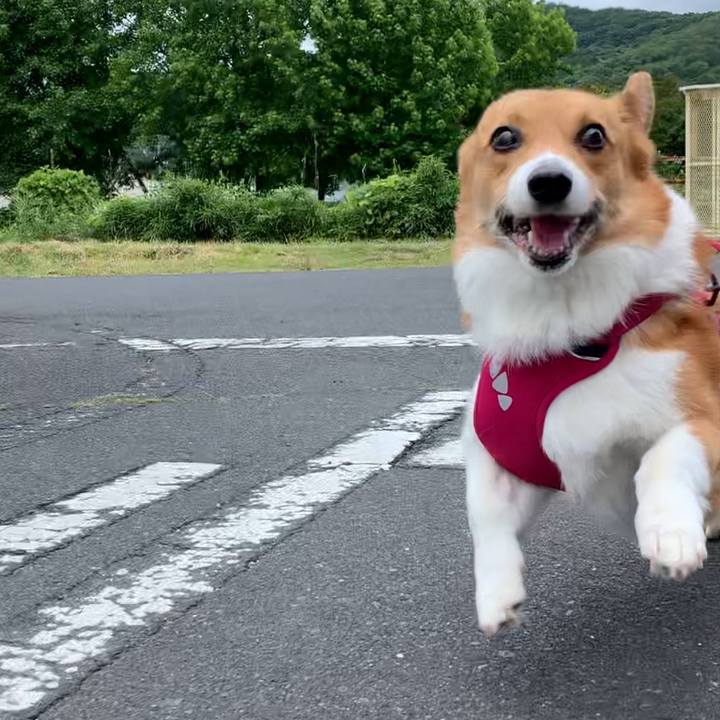 F5b356aa b48d 4425 8eb2 f79e2abc64e8 1654655524865