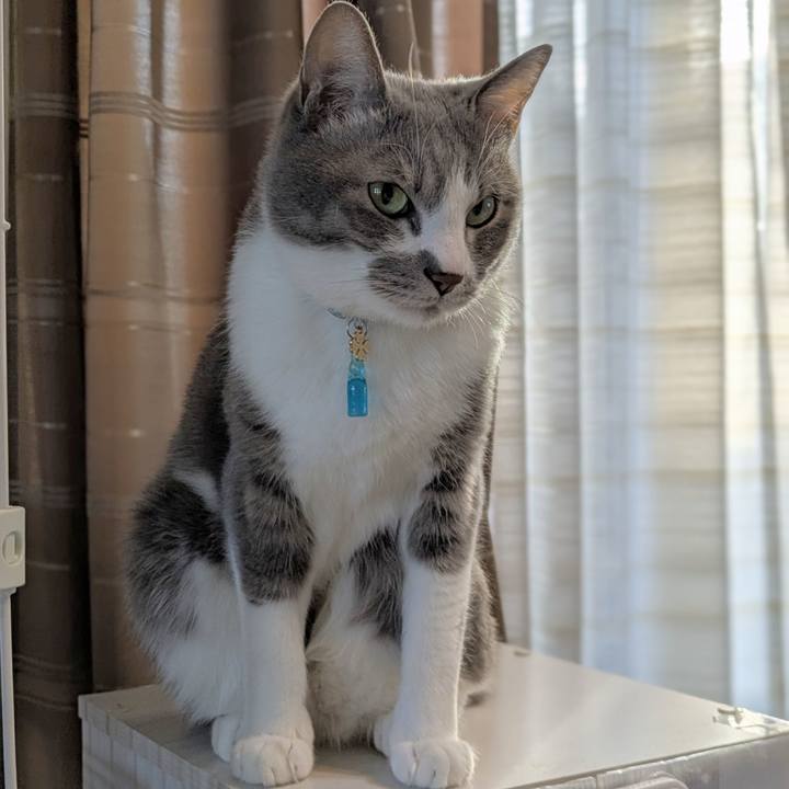 F5b39db0 344e 4125 aa6c f3ae733d0f72 1738911771976