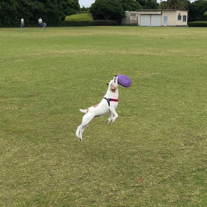 F5b3ab59 9de1 4cfa a2c6 daa65768d25f 1528606736901