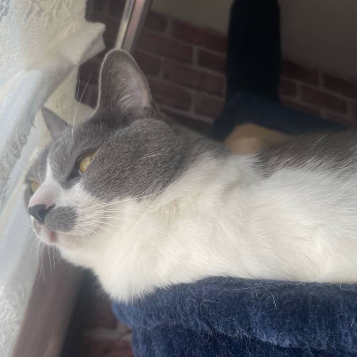 F5b3ca08 4d3e 43a9 86a3 987bd44ffb94 1666306823386