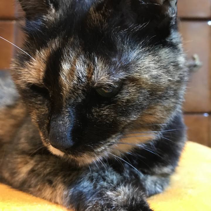 F5b3cb30 c41c 4162 b94d 429e39709ee9 1526727852705