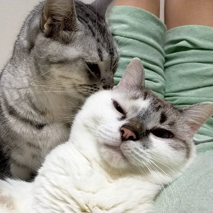 F5b40495 8369 4073 ae57 2ec31dccf92f 1603018309502