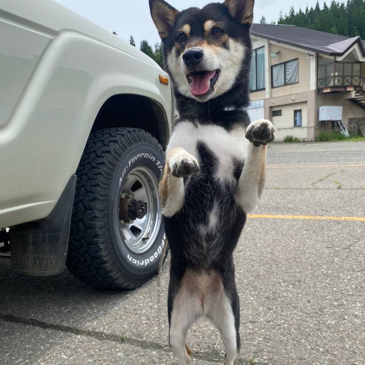 F5b42f1a 3d4c 481b 8562 645ed4bb1dda 1593229803715