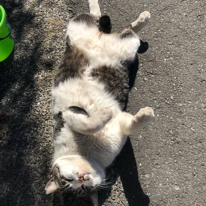 F5b43f20 4c2d 42c7 8d8a 43d4aea0c6e2 1517975424464