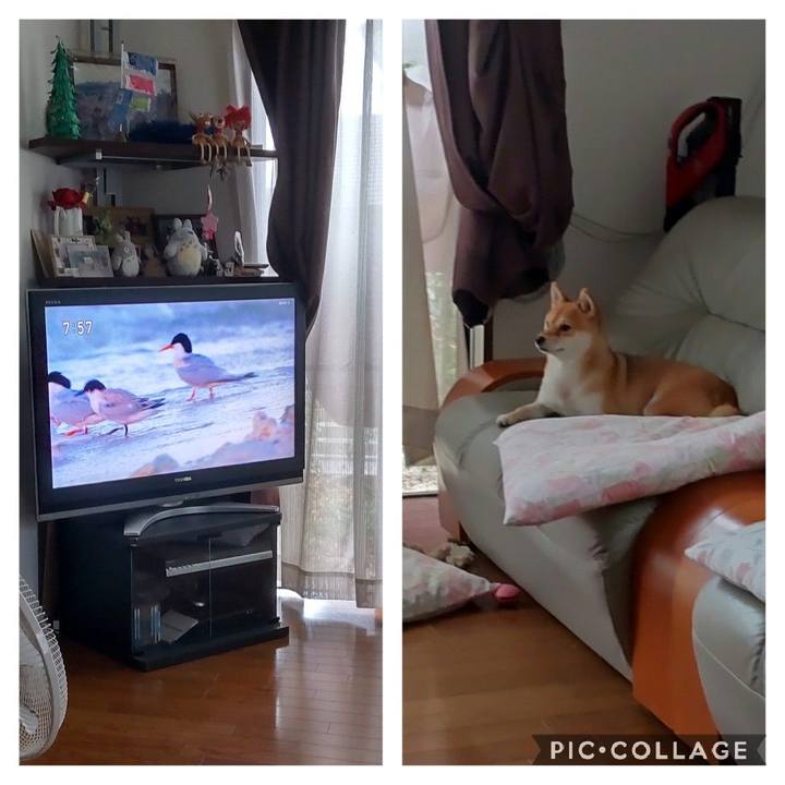 F5b467e6 4d5f 4c67 aaf7 33701b32f1e3 1663456478336