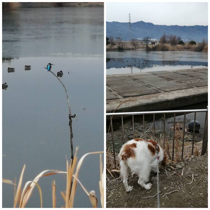 F5b47caf 85d4 4245 a9ab ac8cc21956b8 1581301161325