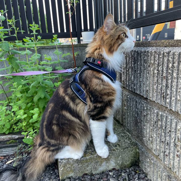 F5b48fba bf01 486d ae4a 0e2060f8c90c 1656791899904