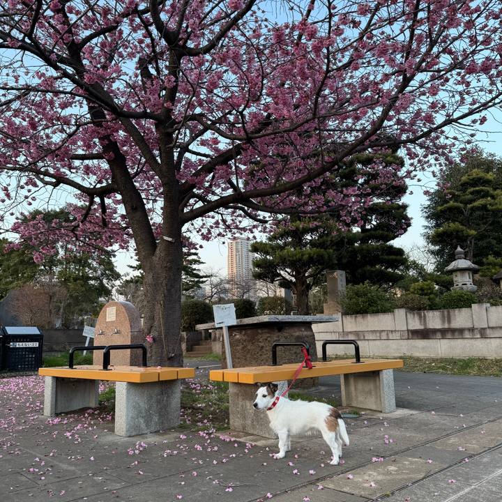 F5b4b9f0 4bf0 40ca 9e58 b7ea1211c65c 1774086337188