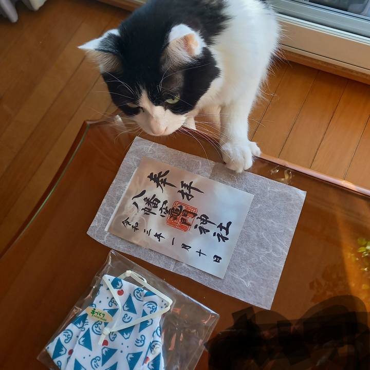 F5b4d051 e4fc 4b05 9031 e0f01710f855 1610754762610